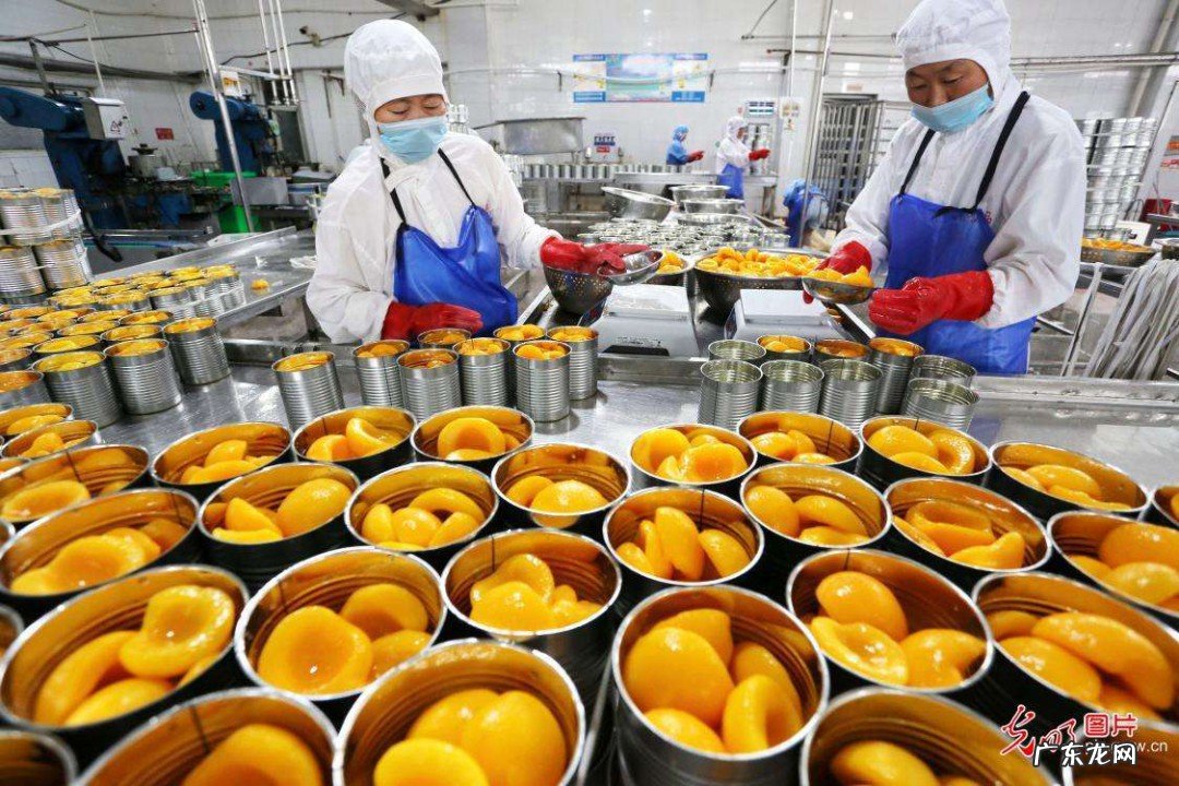 食品加工厂和食品厂有什么分别