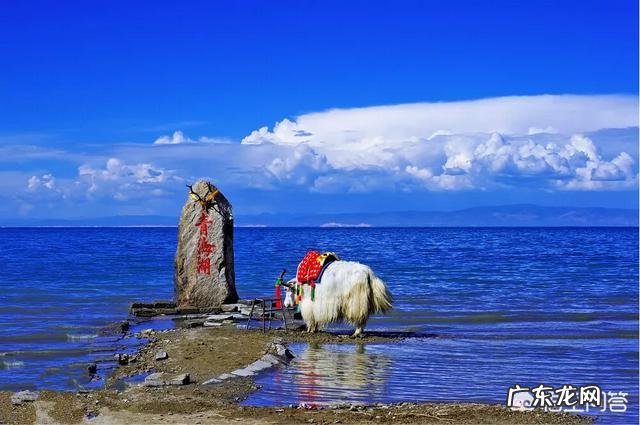 青海哪里旅游好?