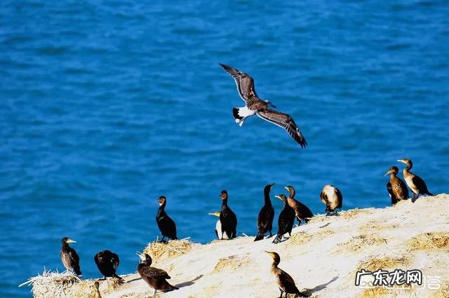 青海哪里旅游好?