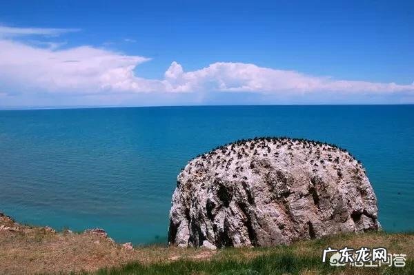 青海哪里旅游好?