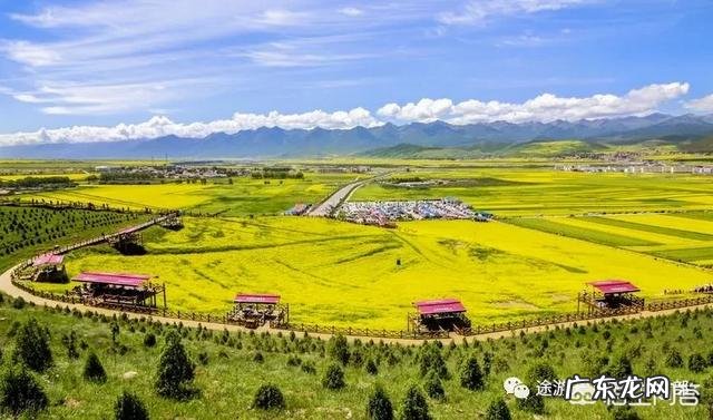 青海哪里旅游好？