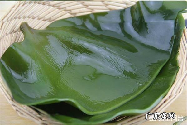 紫菜和海带哪种营养价值高？都适合什么人食用？