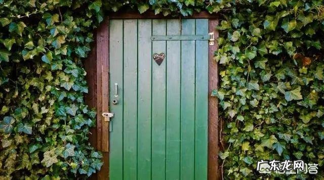 怎么促进学生的成长?