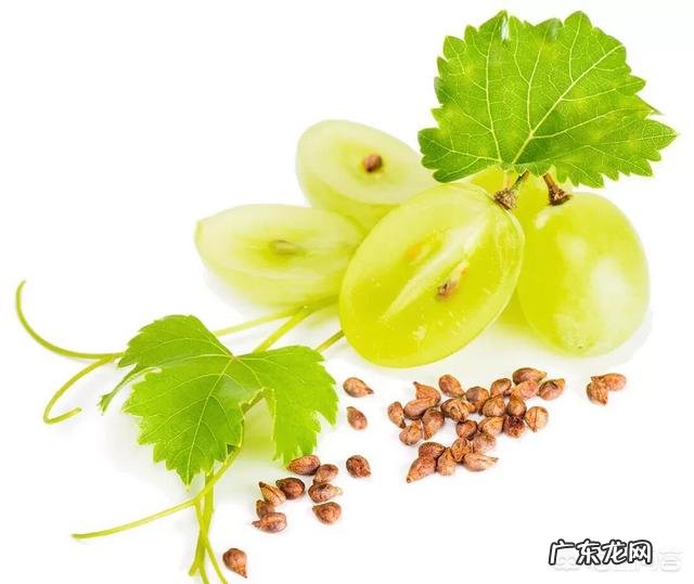 维c含片和葡萄籽搭配吃美白效果更好吗?