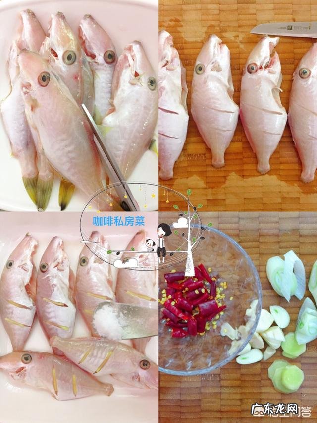 鱼怎么炖才好吃,做法是什么?