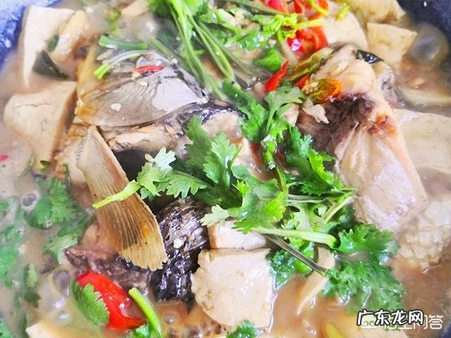 鱼怎么炖才好吃,做法是什么?