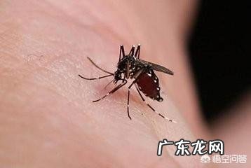 宝宝被蚊子咬了,哪些方法可以缓解呢?