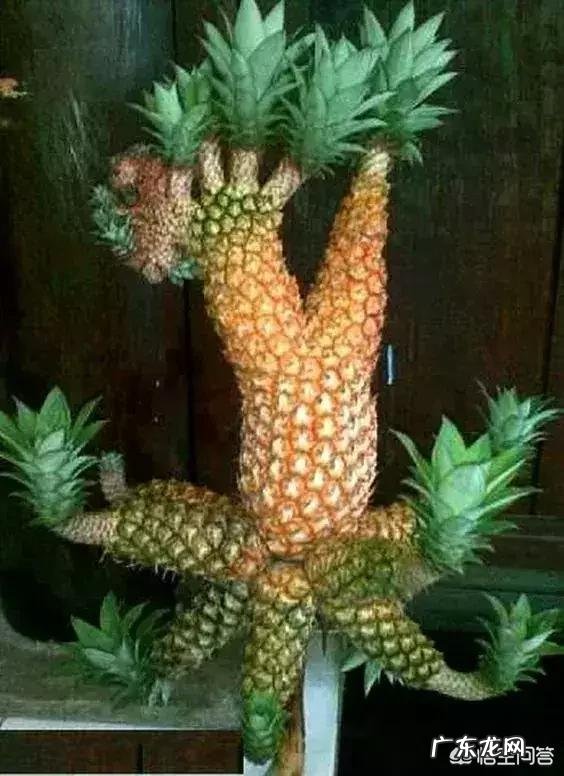 哪些食物或水果类是属于碱性的?