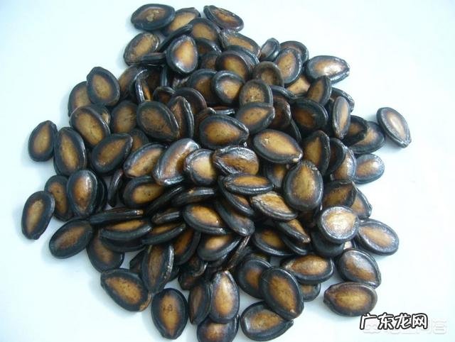 西瓜的功效和作用？