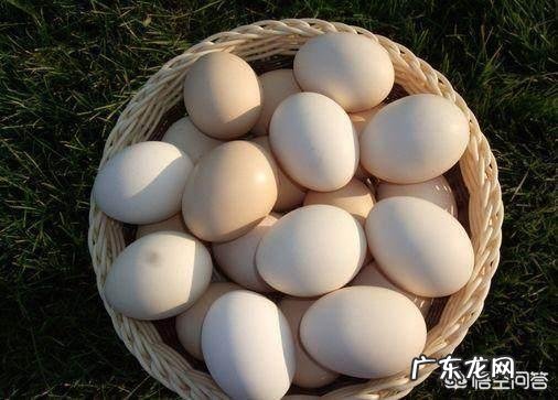 有种长在树上的“白鸡蛋”你见过吗，吃了它真的可以美容吗？