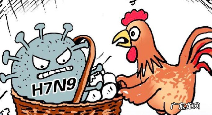 禽流感最严重是哪一年