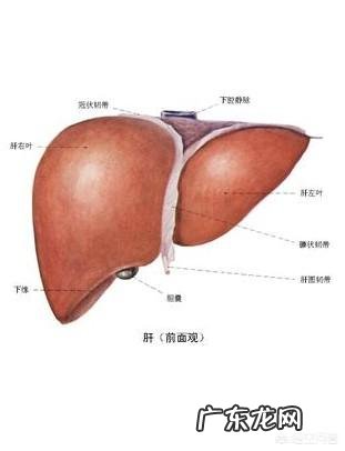 面部色斑怎么办?