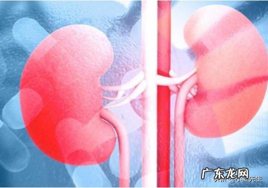 尿蛋白多少正常？