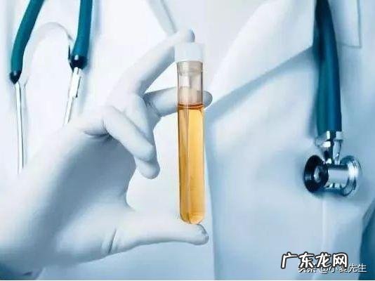 尿蛋白多少正常？