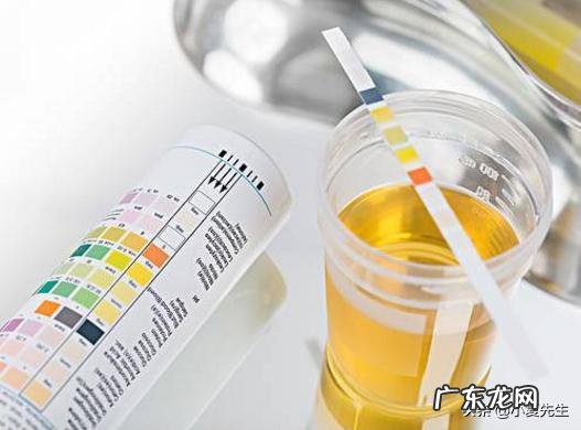 尿蛋白多少正常？