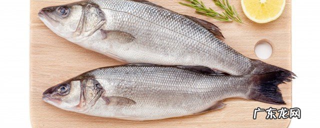 野钓鲫鱼最佳配方