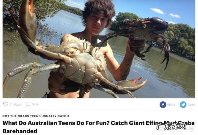 澳洲红蟹成群结队迁徙,是因为过多泛滥吗?红蟹可以吃吗?