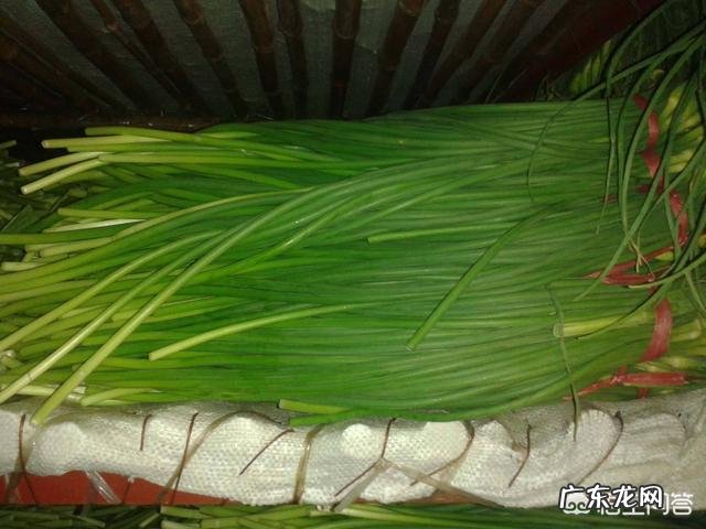 蒜薹怎么做好吃?