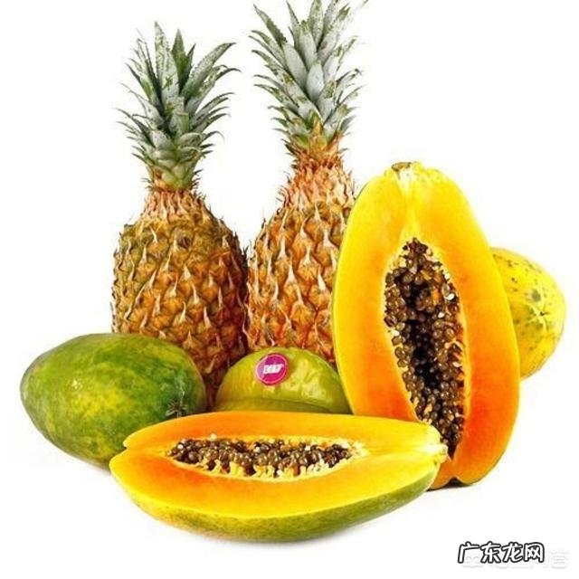 同样是含有蛋白酶,为什么菠萝吃起来麻嘴,而木瓜吃起来不麻嘴呢?