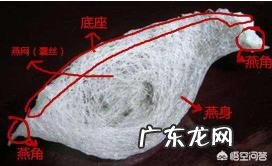 什么牌子的燕窝比较好?值得推荐的燕窝品牌有哪些?