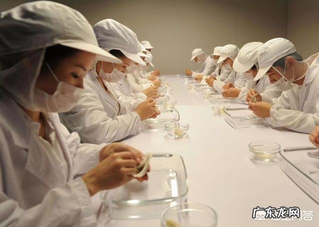 什么牌子的燕窝比较好?值得推荐的燕窝品牌有哪些?