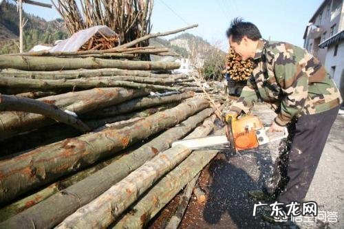 种植黑木耳的原材料是什么,需要注意些什么?