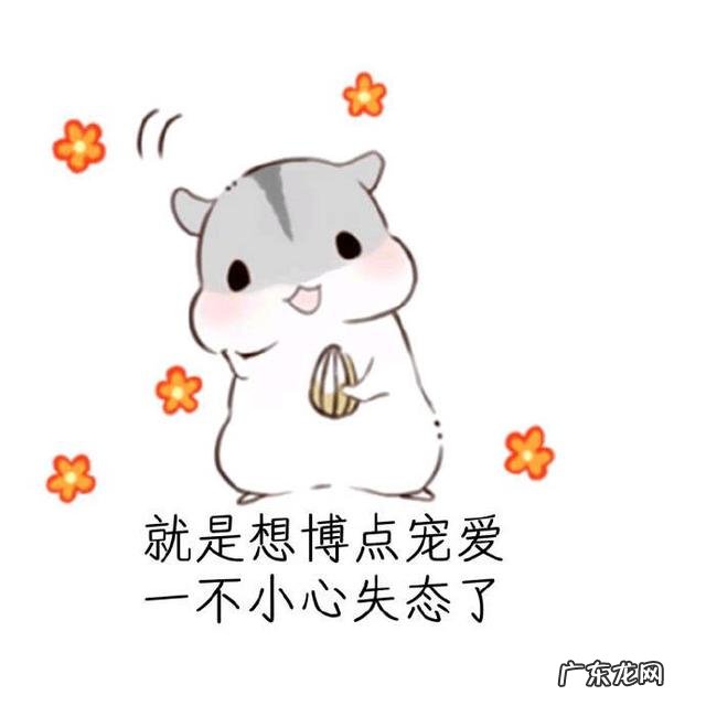 为什么女生来例假时不可以洗头和碰凉水?