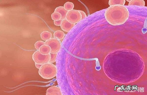 受精卵为什么会着床失败?