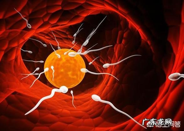 受精卵为什么会着床失败?