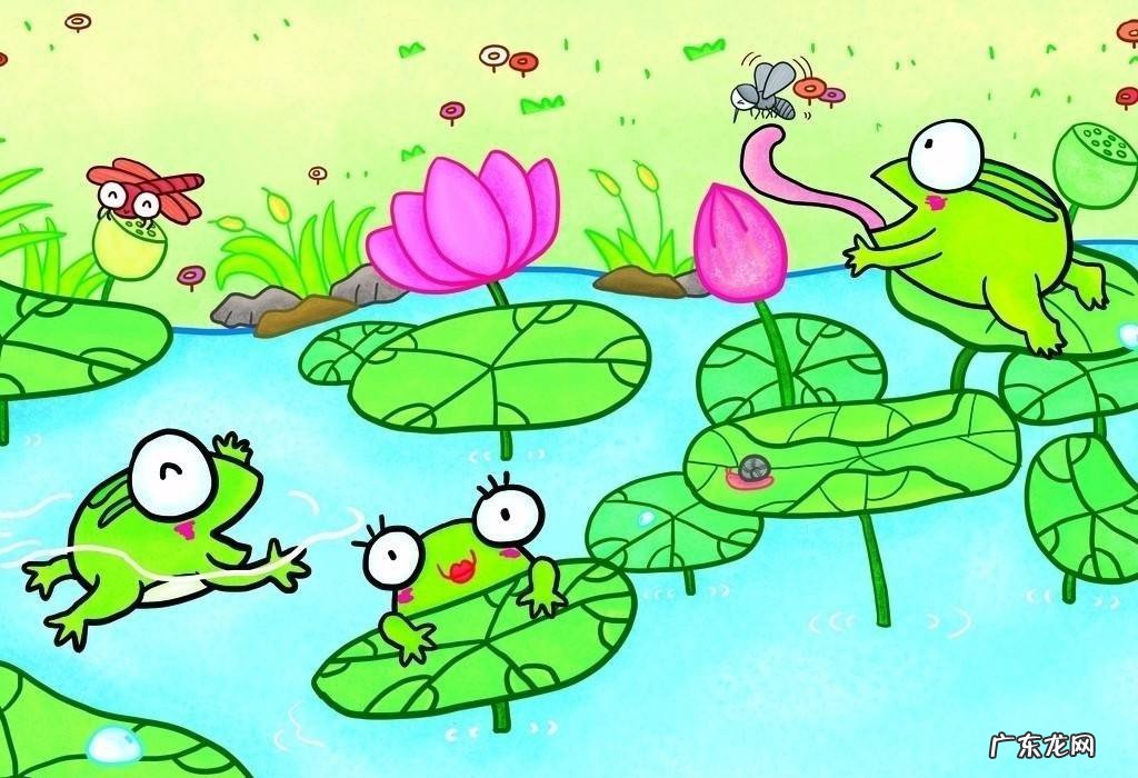 怎么爱护小青蛙