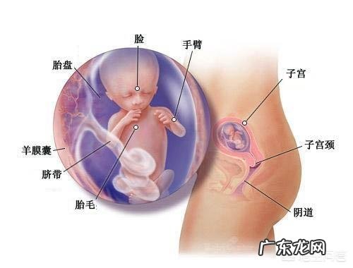 怀孕14周应该注意什么?