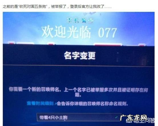LOL:玩家ID太过逆天,系统自动赠送改名卡一张,网友表示“违规昵称挺好”,如何?