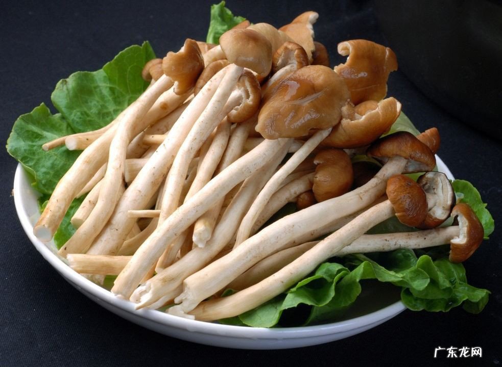 茶树菇怎么做好吃