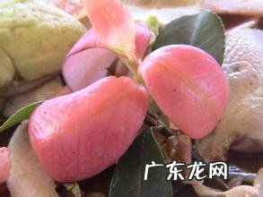 小时候农村里常见的野果,你还记得哪些?