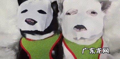 如何自制补水面膜?