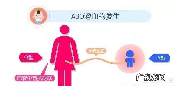 什么血型的爸妈组合生的孩子容易溶血?