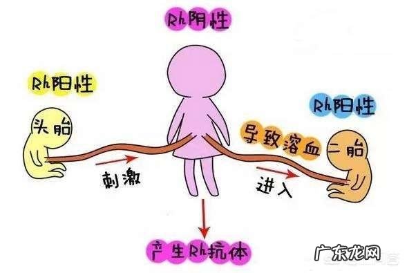 什么血型的爸妈组合生的孩子容易溶血?