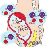 什么血型的爸妈组合生的孩子容易溶血？