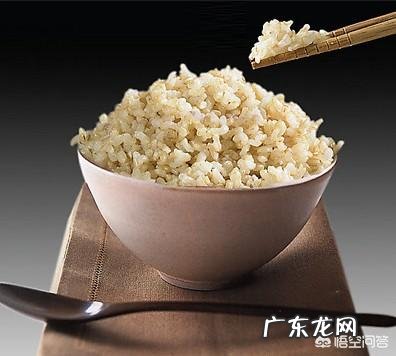 糙米饭怎么煮有营养?