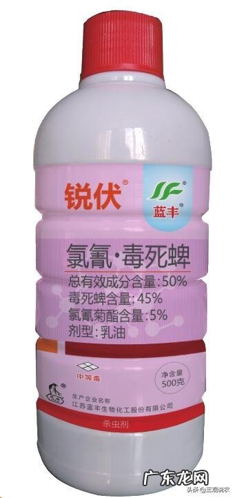 黄杨叶子干枯怎么办？