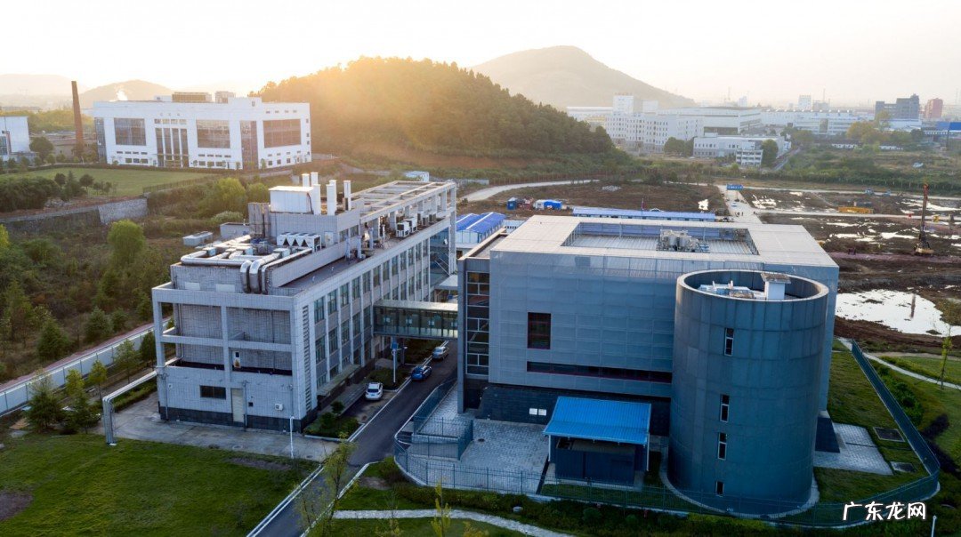 p4研究所是什么