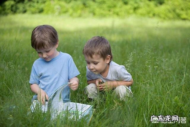 生二胎到底有哪些好处？
