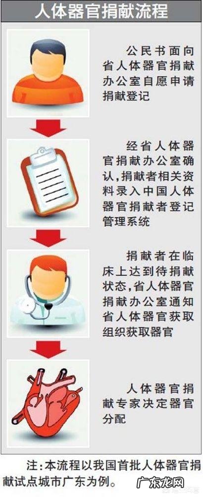 人的器官捐献需要哪些手续?