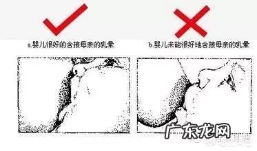 母乳喂养的正确姿势是什么?有哪些注意事项?