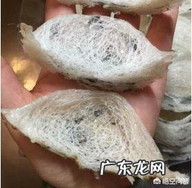 燕窝哪买最好?