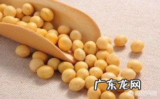 毛豆营养价值高还是黄豆营养价值高?