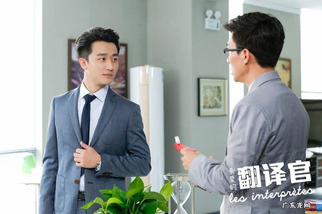 亲爱的翻译官分集剧情介绍