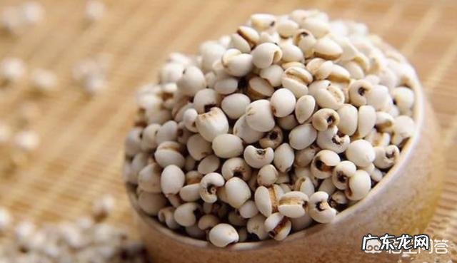 薏米怎样吃才能祛湿?