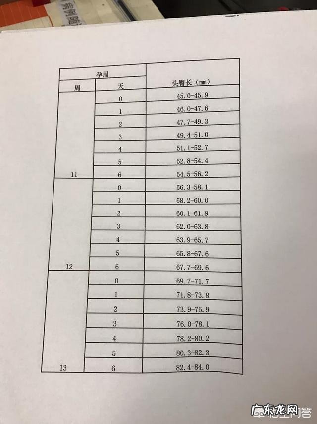 四维彩超几个月才能做?