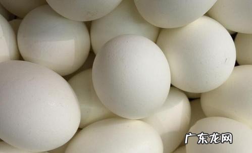 鹅蛋不能和什么一起吃